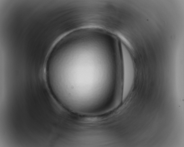 X0000093231468200710101354