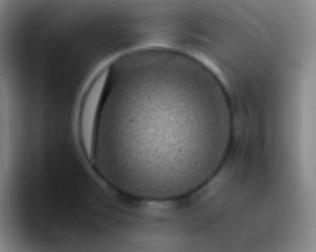 X0000093231469200710101354