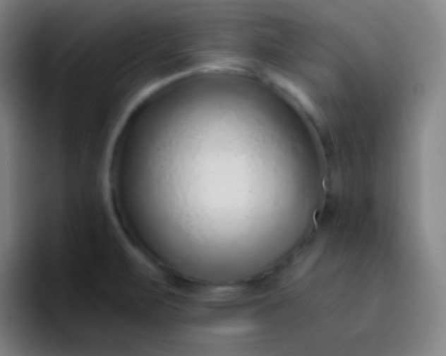 X0000093231471200710101354