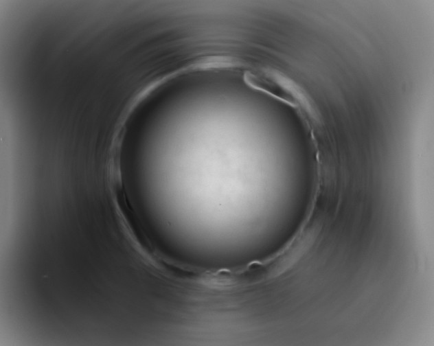 X0000093231473200710101354