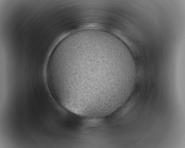 X0000093231474200710101354