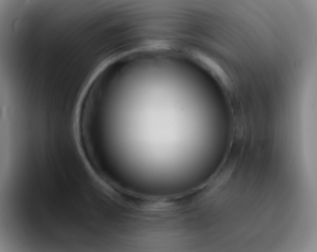 X0000093231475200710101354