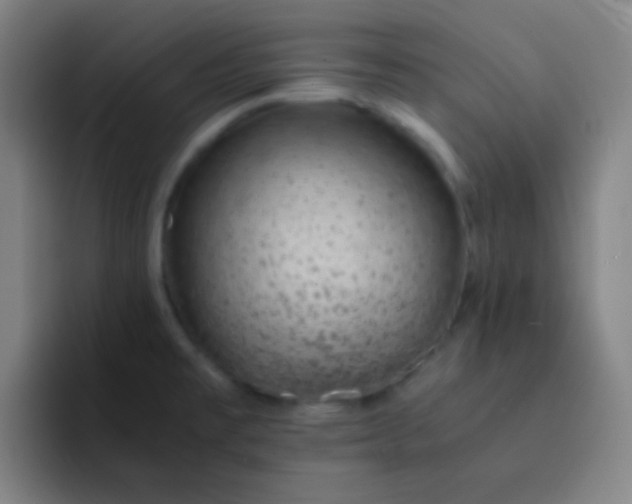 X0000093231477200710101354