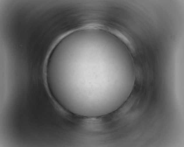 X0000093231478200710101354