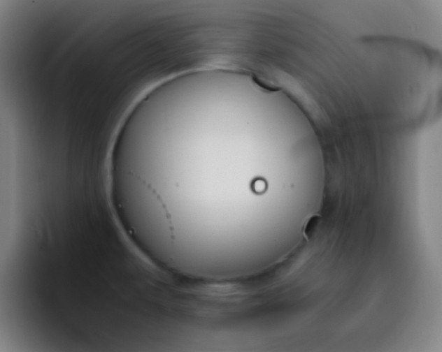 X0000093231479200710101354