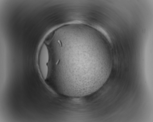 X0000093231480200710101354