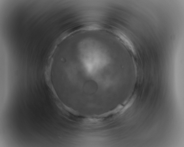 X0000093231481200710101354