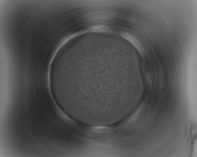 X0000093231482200710101354