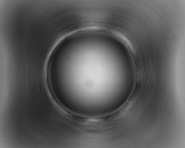 X0000093231483200710101354