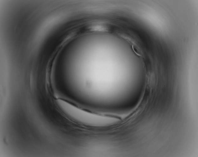 X0000093231487200710101354