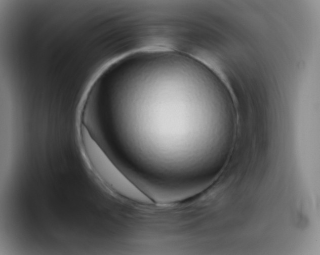 X0000093231488200710101354