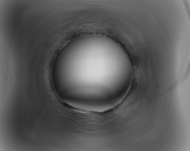 X0000093231489200710101354