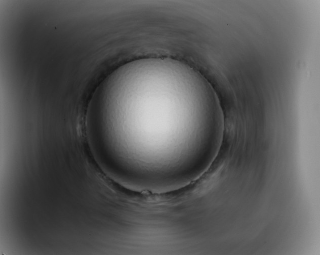 X0000093231490200710101354