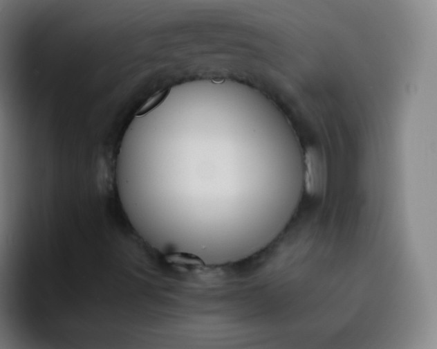 X0000093231491200710101354