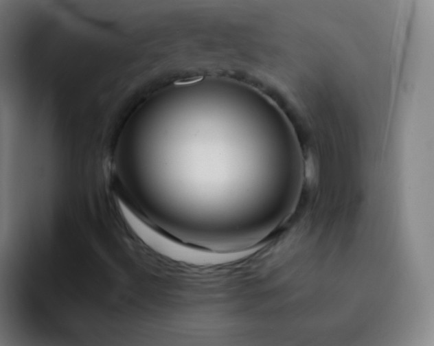 X0000093231492200710101354