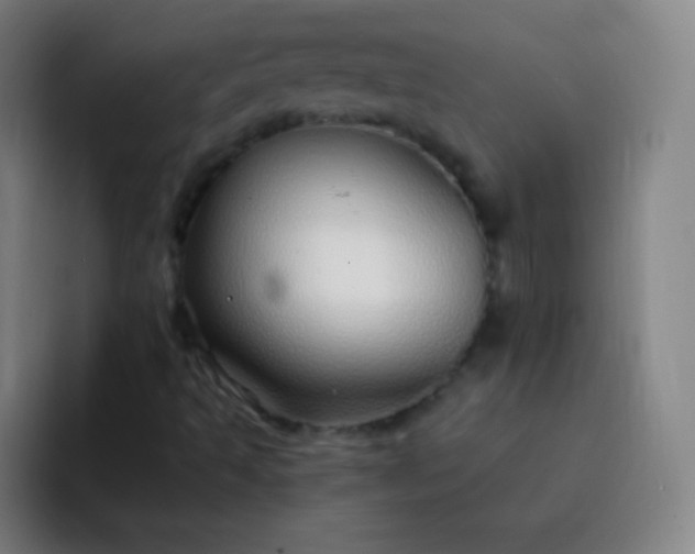 X0000093231493200710101354