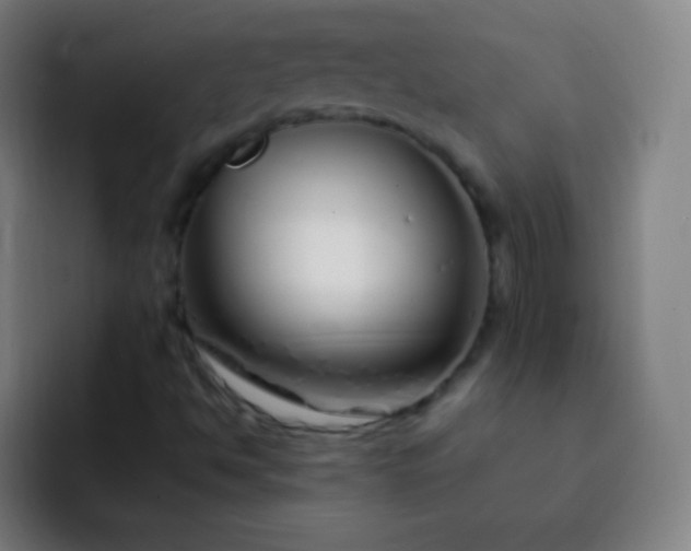 X0000093231494200710101354