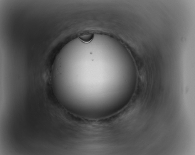 X0000093231495200710101354