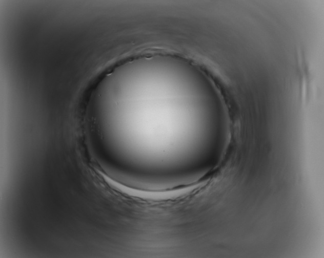 X0000093231496200710101354