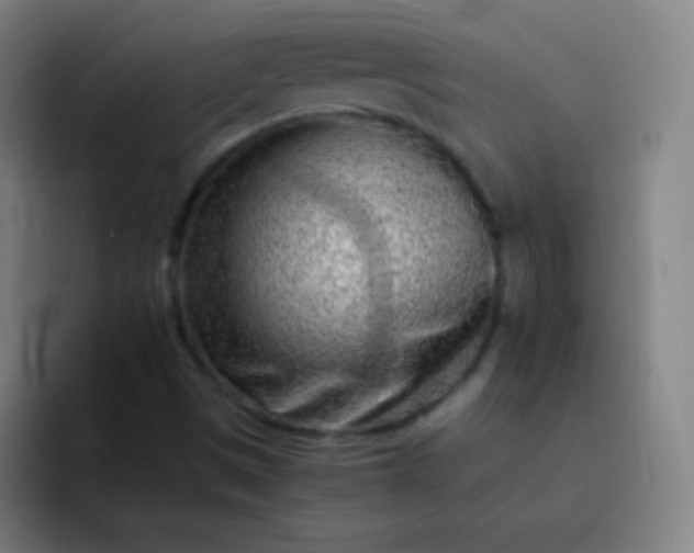 X0000093231497200710101354