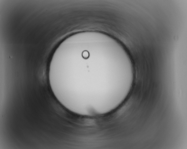 X0000093231498200710101354