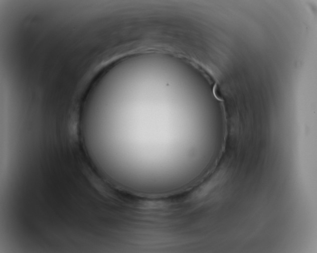 X0000093231499200710101354