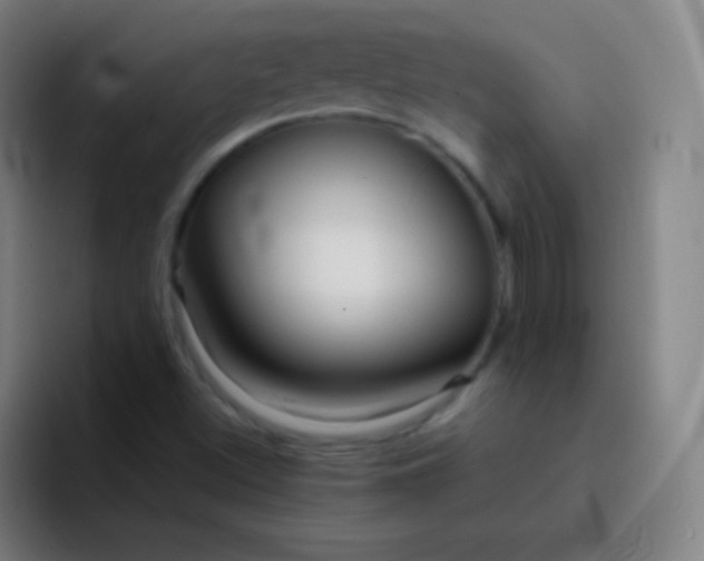 X0000093231500200710101354