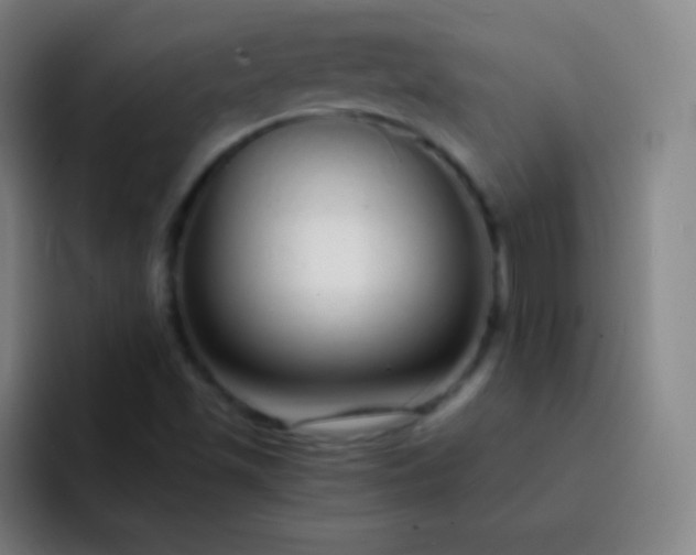 X0000093231501200710101354