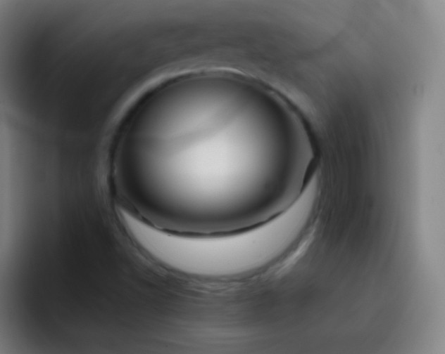 X0000093231502200710101354