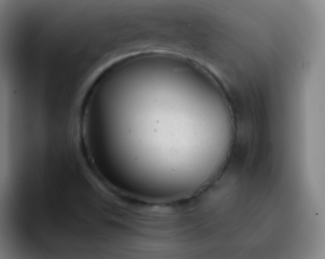 X0000093231503200710101354