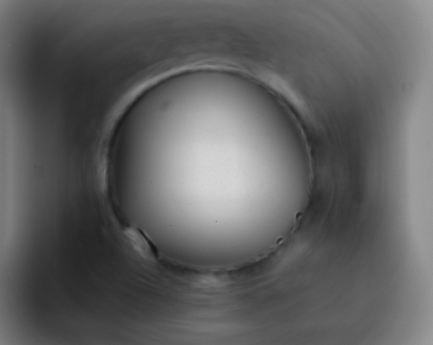 X0000093231504200710101354