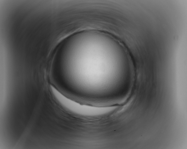 X0000093231505200710101354