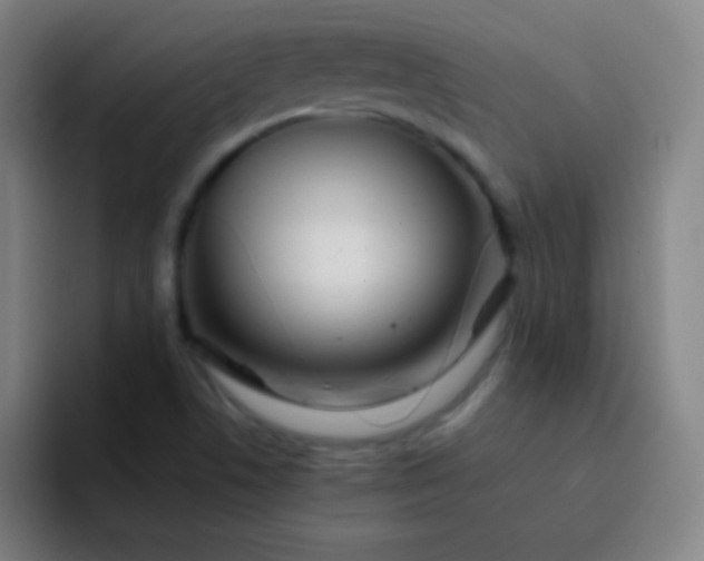 X0000093231506200710101354