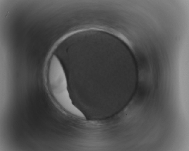 X0000093231508200710101354