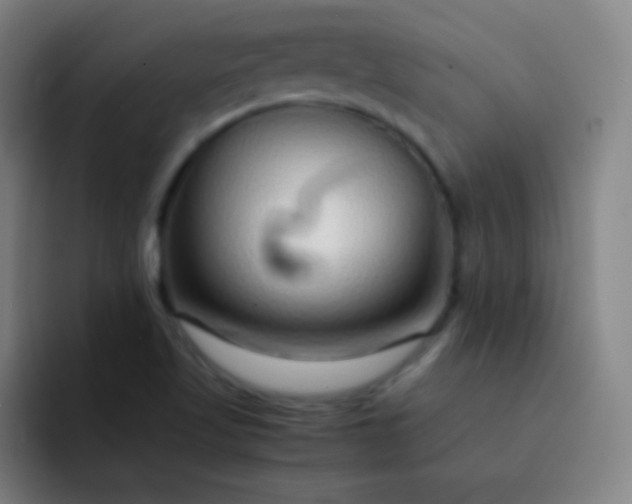 X0000093231509200710101354