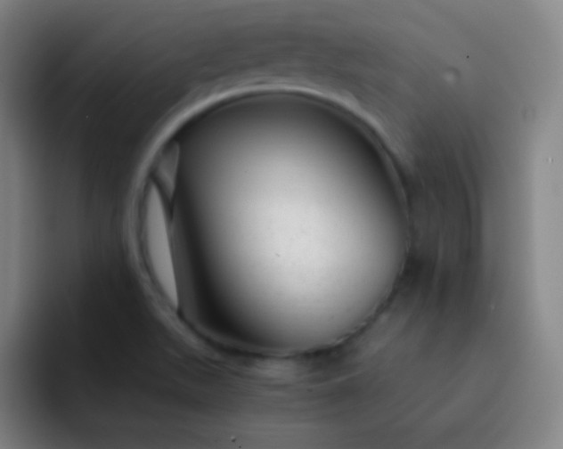 X0000093231511200710101354