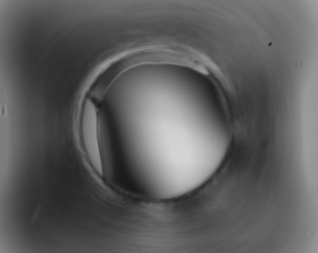 X0000093231512200710101354