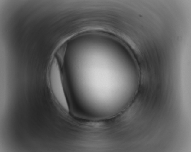 X0000093231513200710101354