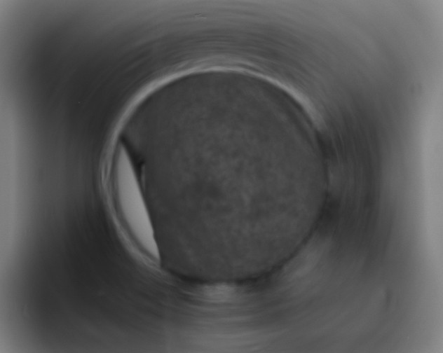 X0000093231515200710101354