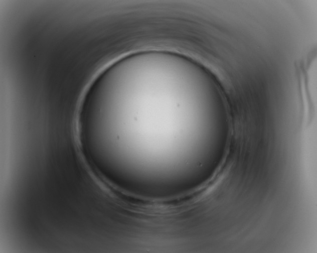 X0000093231517200710101354