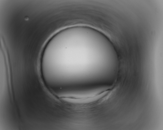 X0000093231518200710101354