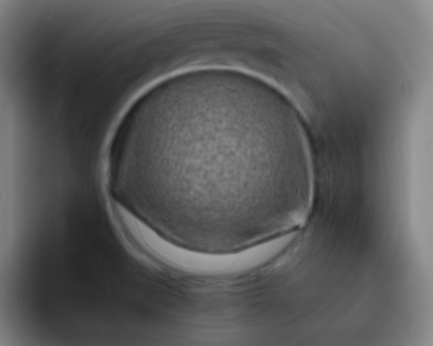 X0000093231519200710101354