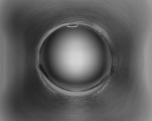 X0000093231520200710101354