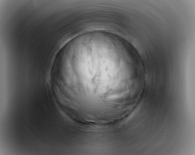 X0000093231521200710101354