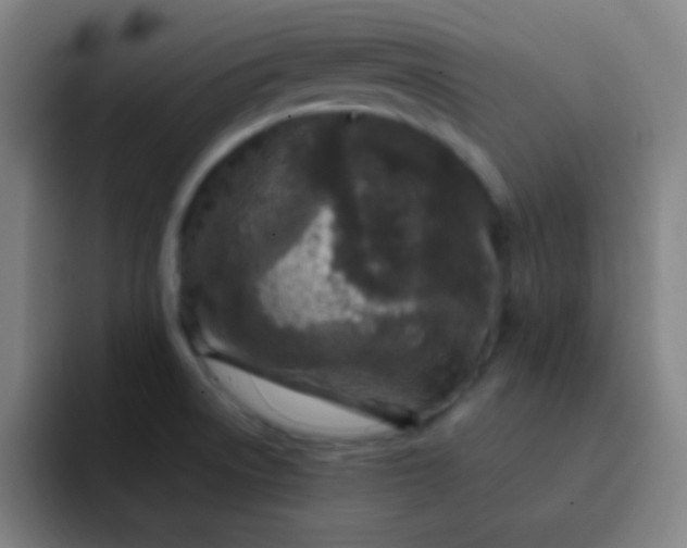 X0000093231522200710101354