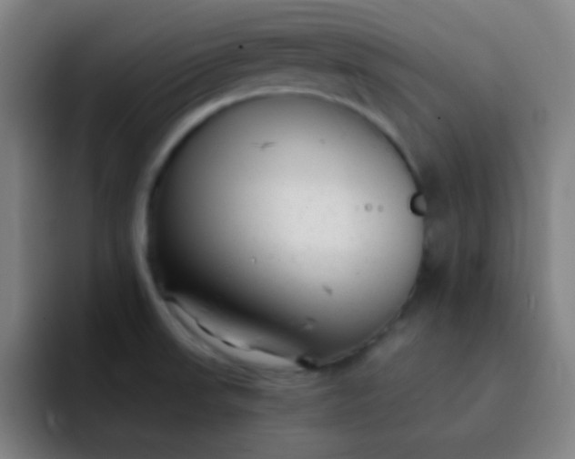 X0000093231523200710101354