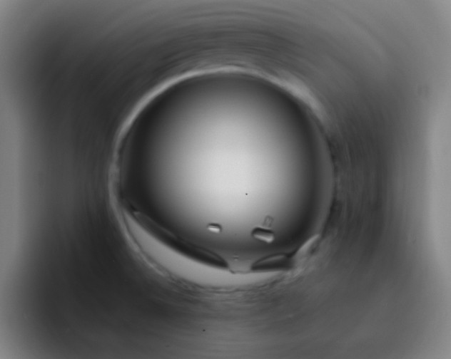 X0000093231524200710101354