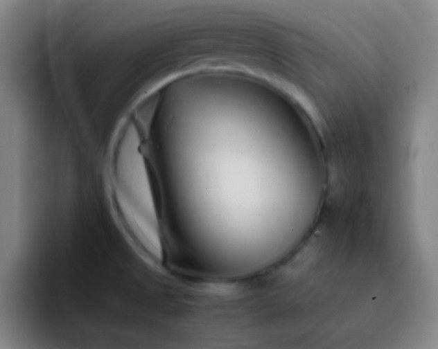 X0000093231525200710101354