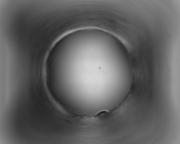 X0000093231526200710101354