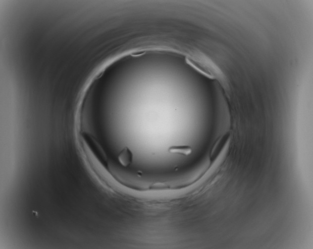 X0000093231528200710101354